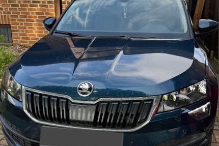 Skoda Karoq 160.600 km 17.000 &euro; Emmerich 46446