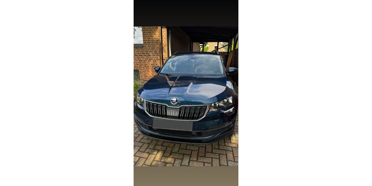 Skoda Karoq 160.600 km 17.000 &euro; Emmerich 46446