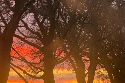 Haus Tribsees - 7 Zimmer, 120 m&sup2;, 107.000&euro; | Angebot:24298904