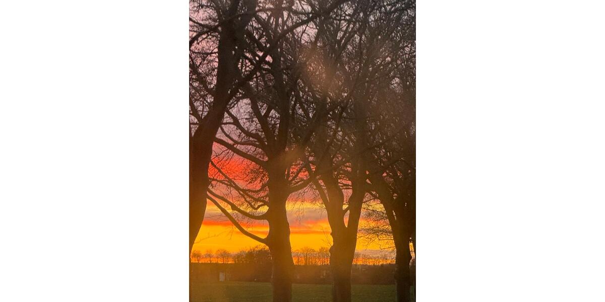 Reihenhaus Tribsees - 7 Zimmer, 120 m&sup2;, 107.000&euro; | Angebot:24298904