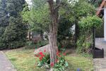 Einfamilienhaus Halberstadt - 5 Zimmer, 136 m&sup2;, 325.000&euro; | Angebot:26295287