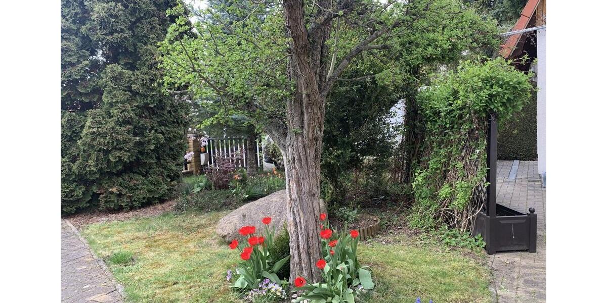 Einfamilienhaus Halberstadt - 5 Zimmer, 136 m&sup2;, 365.000&euro; | Angebot:26295287