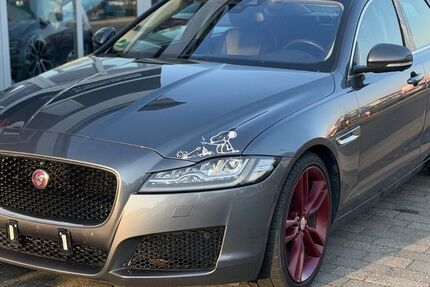 Jaguar XF 245.253 km 7.800 &euro; Kirchberg 55481