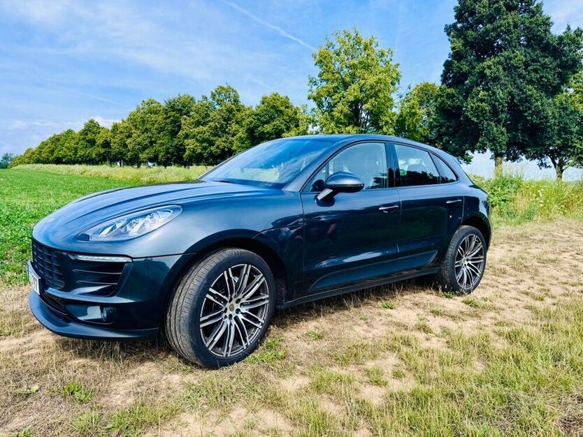 Macan