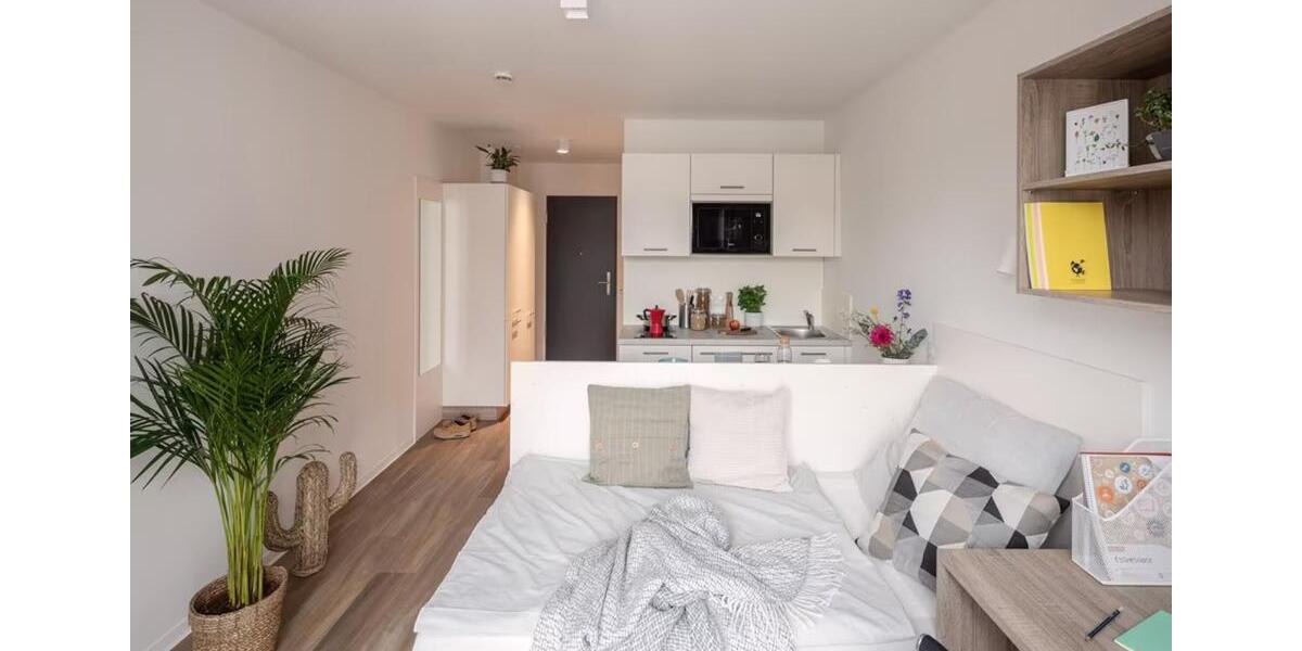 1-Zimmer Wohnung zur Zwischenmiete - The Fizz 1 zimmer