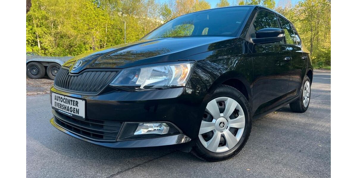 Skoda Fabia 91.500 km 8.470 &euro; Rostock 18106