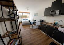 Möblierte 1 Zimmerwohnung zum vermieten