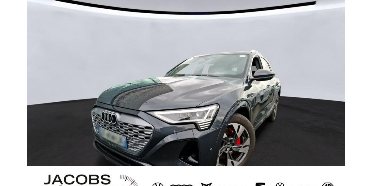 Audi Q8 e-tron 27.680 km 53.890 &euro; Aachen 52078