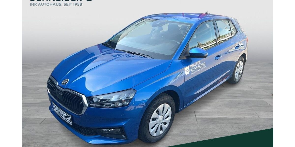 Skoda Fabia 5.000 km 18.990 &euro; Siegen 57076