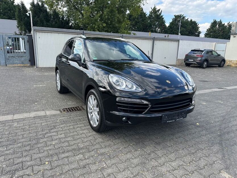 Cayenne