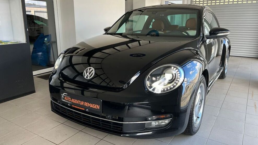 Beetle