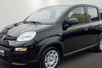 Fiat Panda 4.900 km 13.970 € München 81547