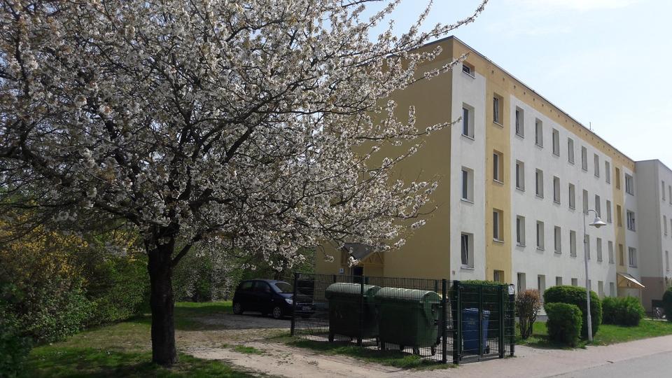 Etagenwohnung Dorf Mecklenburg - 2 Zimmer, 46 m&sup2;, 449&euro; | Angebot:26181225