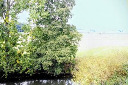 Wohnung Neuental - 4 Zimmer, 100 m&sup2;, 990&euro; | Angebot:26305409