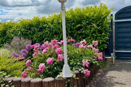 Haus Brühl - 4 Zimmer, 97 m&sup2;, 329.000&euro; | Angebot:24848285