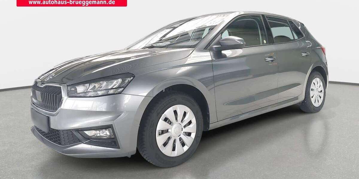 Skoda Fabia 8.377 km 18.790 &euro; Neubrandenburg 17036