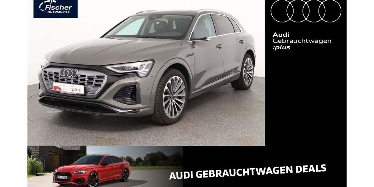 Audi Q8 e-tron 21.106 km 51.980 &euro; Neumarkt 92318