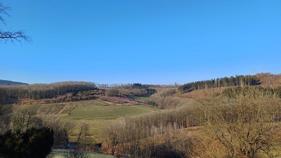 Mietwohnung 2 zimmer