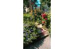 Einfamilienhaus Gevenich - 134.000&euro; | Angebot:26440144