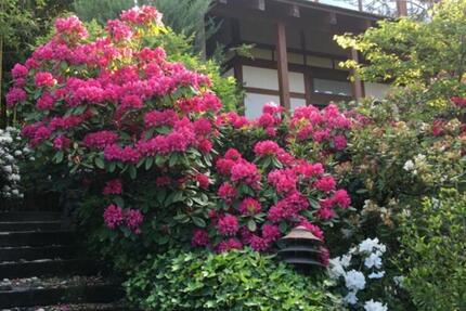 Haus Gerlingen - 3 Zimmer, 200 m&sup2;, 3.500&euro; | Angebot:25018716