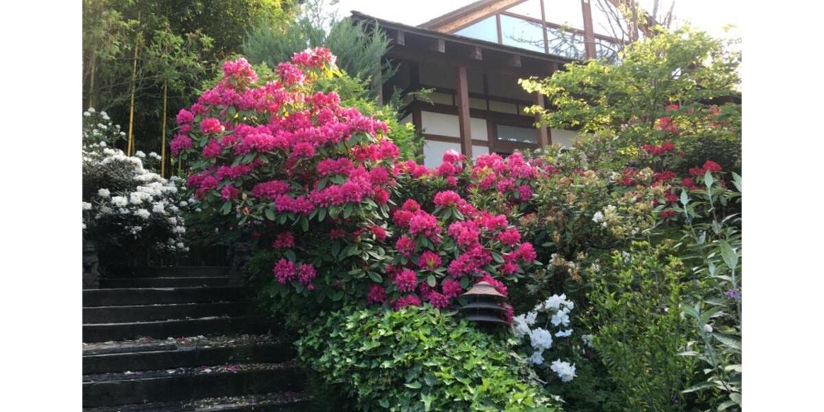 Villa Gerlingen - 3 Zimmer, 200 m&sup2;, 3.500&euro; | Angebot:25018716