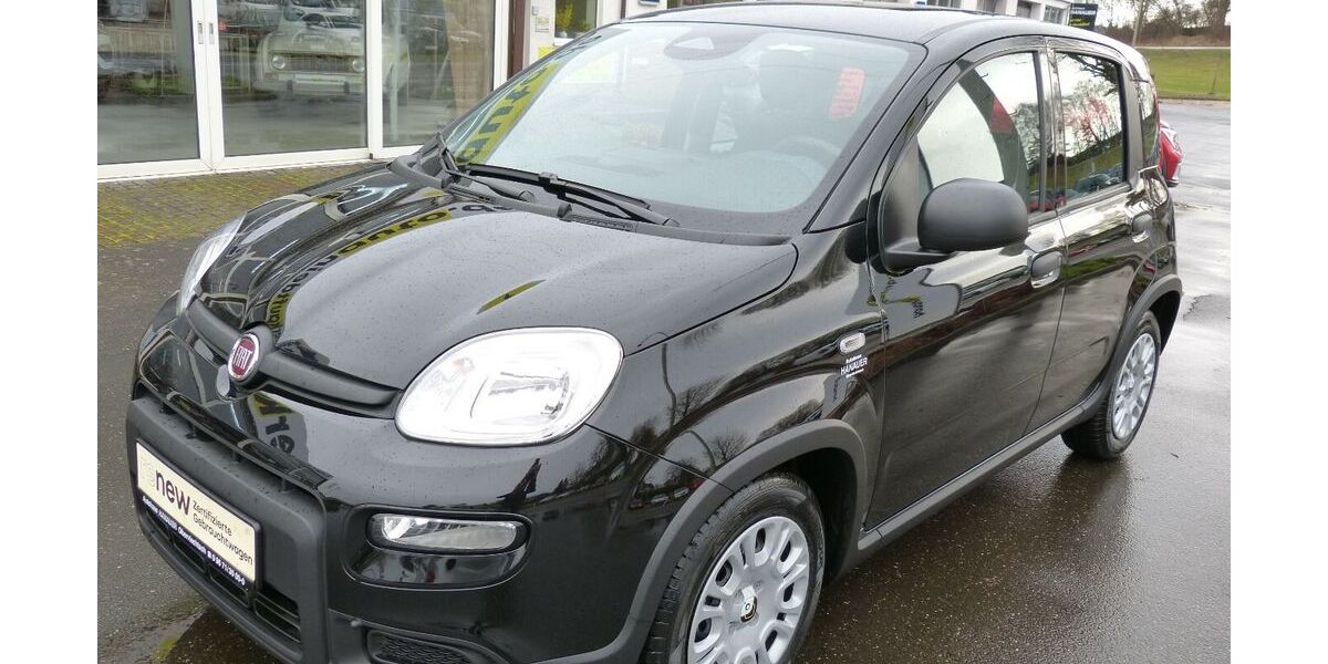 Fiat Panda 1.100 km 13.999 &euro; Oberviechtach 92526