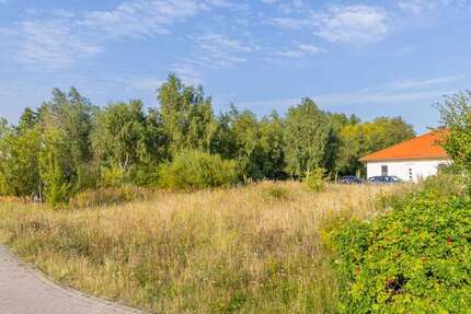 Grundstück Trent / Vaschvitz Vaschvitz - 178.000&euro; | Angebot:27168328