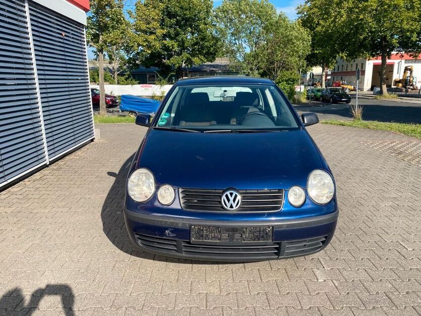 Polo