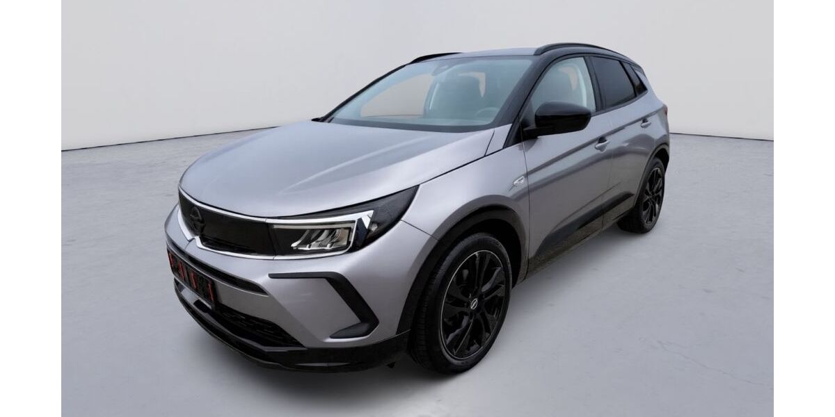 Opel Grandland (X) 29.000 km 17.990 &euro; Neuching 85467