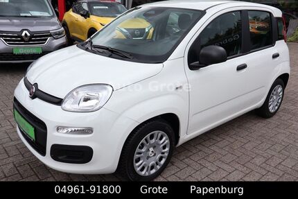 Fiat Panda 5.912 km 12.490 &euro; Papenburg 26871