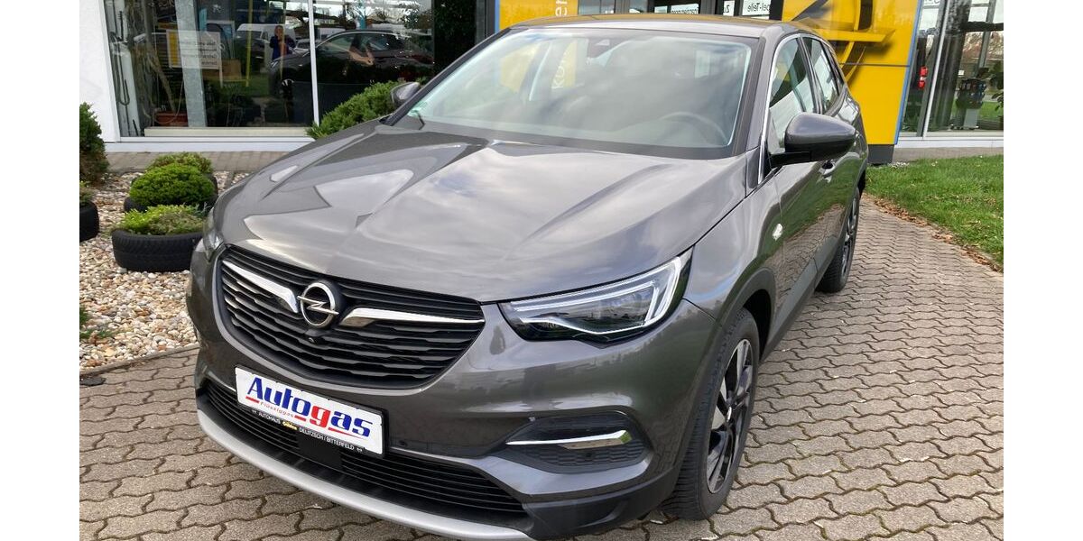 Opel Grandland (X) 24.950 km 25.600 &euro; Delitzsch OT Döbernitz 04509