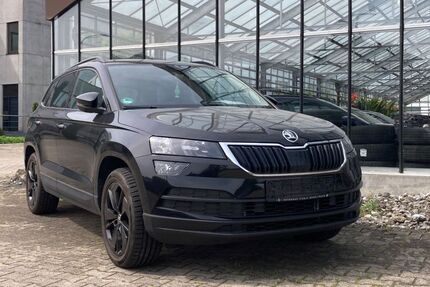 Skoda Karoq 127.600 km 17.580 &euro; Neu-Ulm 89231