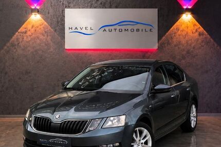 Skoda Octavia 56.532 km 17.990 &euro; Rathenow 14712
