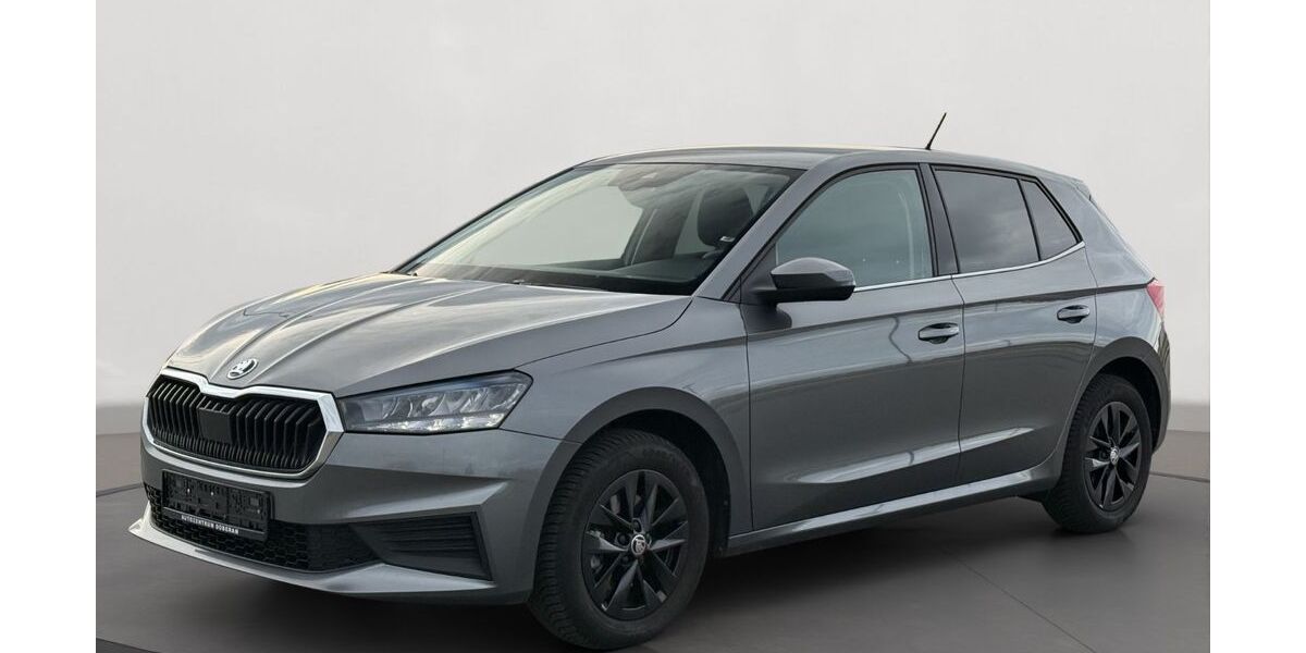 Skoda Fabia 34.900 km 18.490 &euro; Bad Doberan 18209