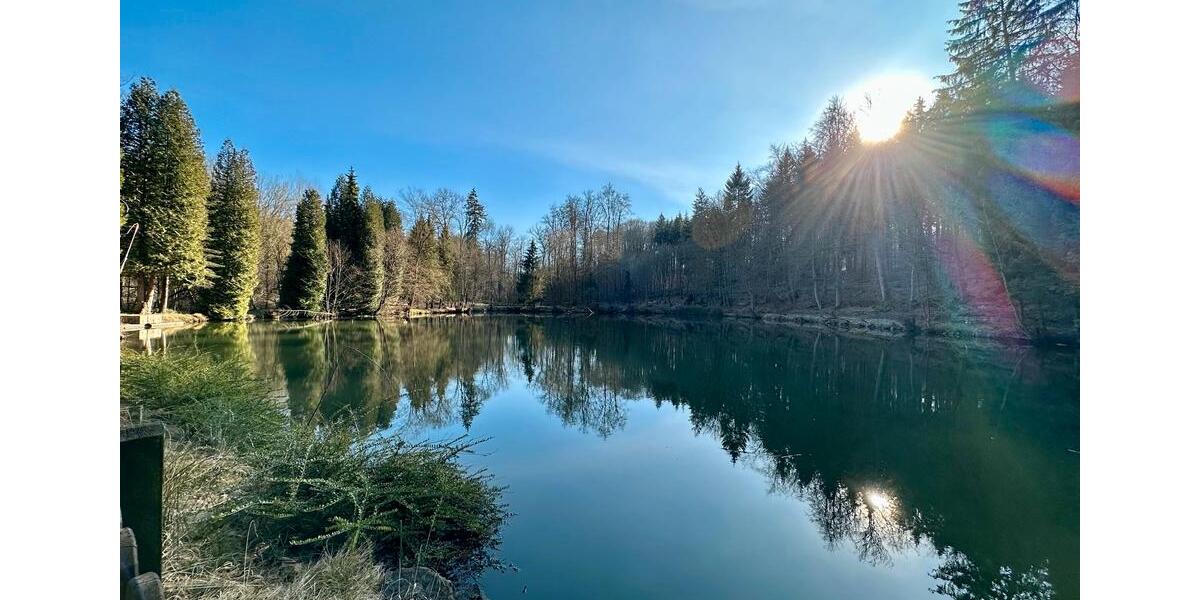 Gewerbeobjekt Springe - 995.000&euro; | Angebot:23741367