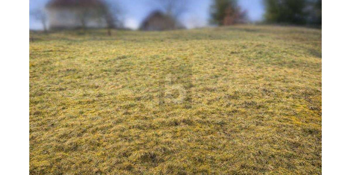 Grundstück Baiersbronn - 75.000&euro; | Angebot:25439494