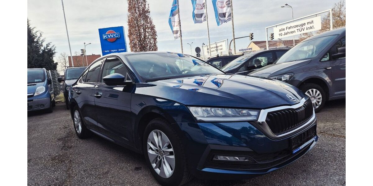 Skoda Octavia 126.500 km 15.990 &euro; Neubrandenburg an der A20 17034