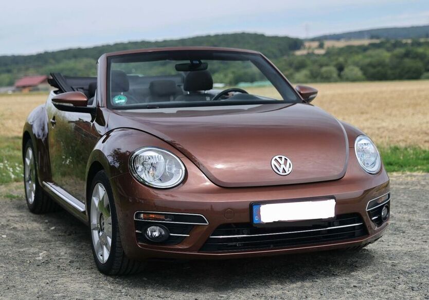 Beetle