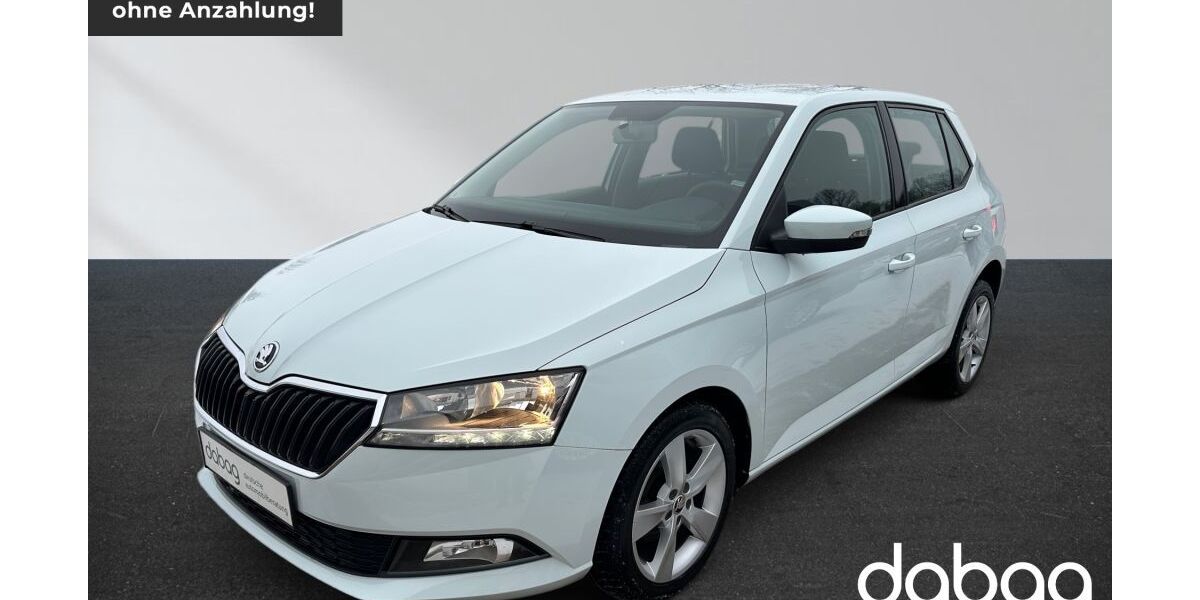 Skoda Fabia 117.642 km 7.990 &euro; Oranienburg OT Germendorf 16515