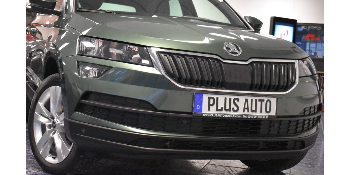 Skoda Karoq 159.223 km 16.770 &euro; Nürnberg 90431