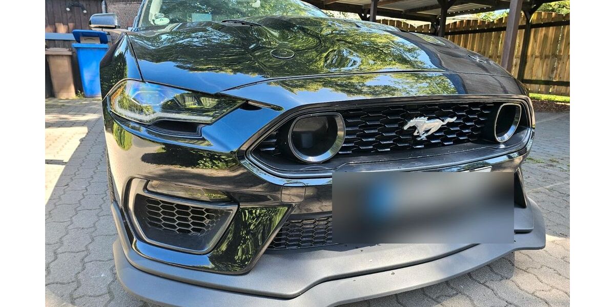 Ford Mustang 48.000 km 38.000 &euro; Gross Offenseth Aspern 25355