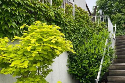 Gepflegte DHH am Südhang in Nbg.-Brunn (1994) 5 zimmer