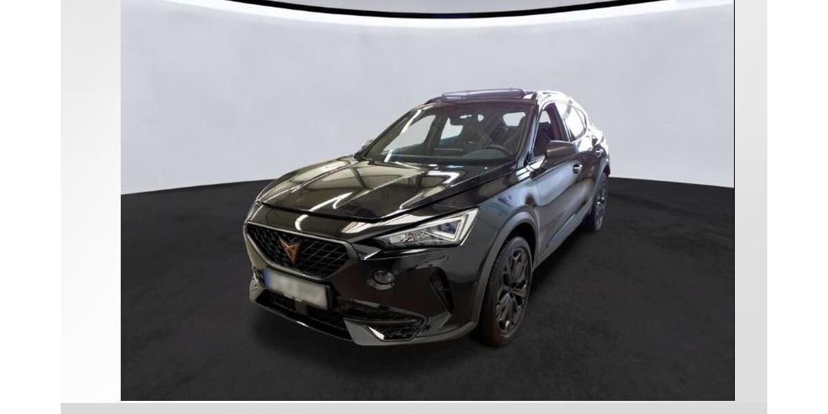 Cupra Formentor 37.100 km 30.980 &euro; Fürth 90763