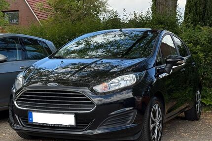 Ford Fiesta 102.500 km 5.500 &euro; Pinneberg 25421