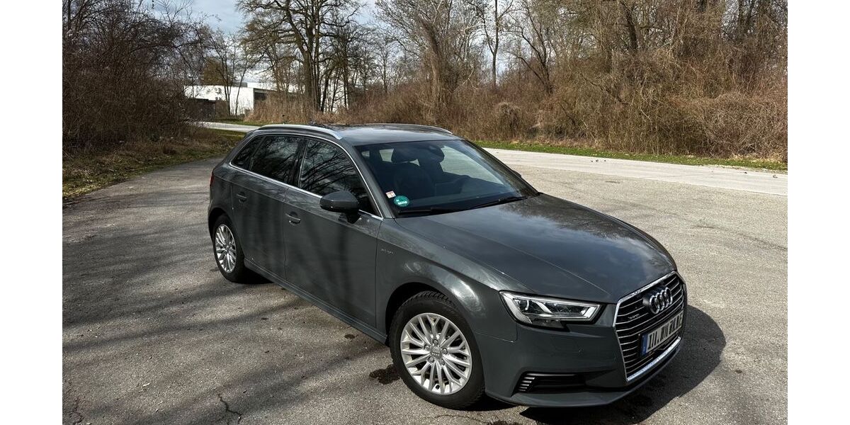 Audi A3 133.000 km 15.900 &euro; Ingolstadt 85053