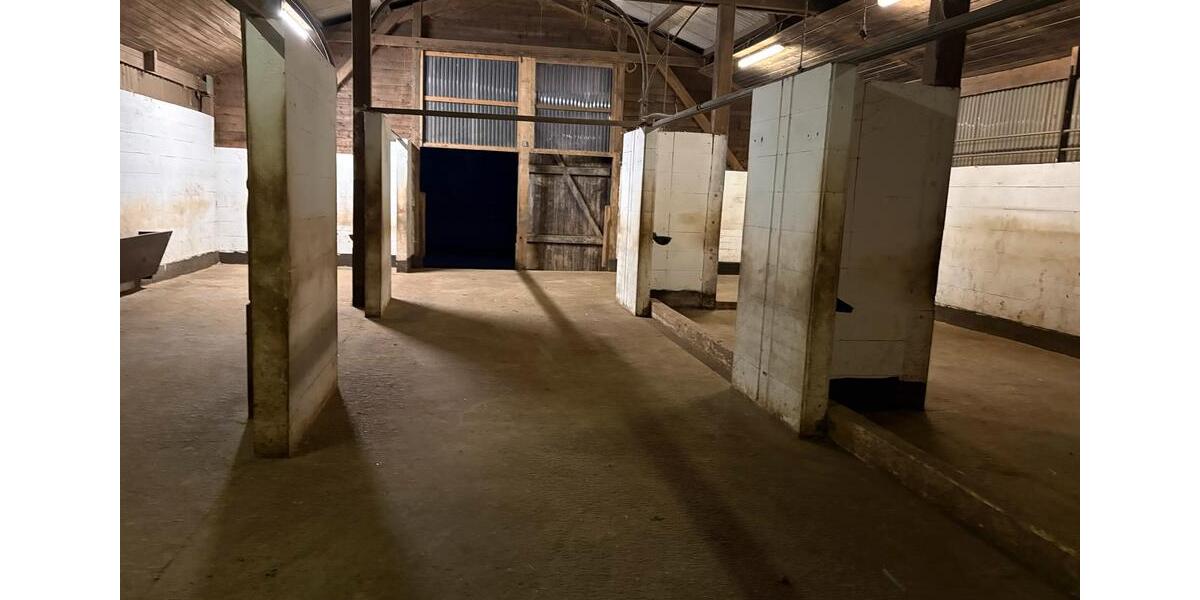 Gewerbeobjekt Drochtersen - 2.500&euro; | Angebot:26494489