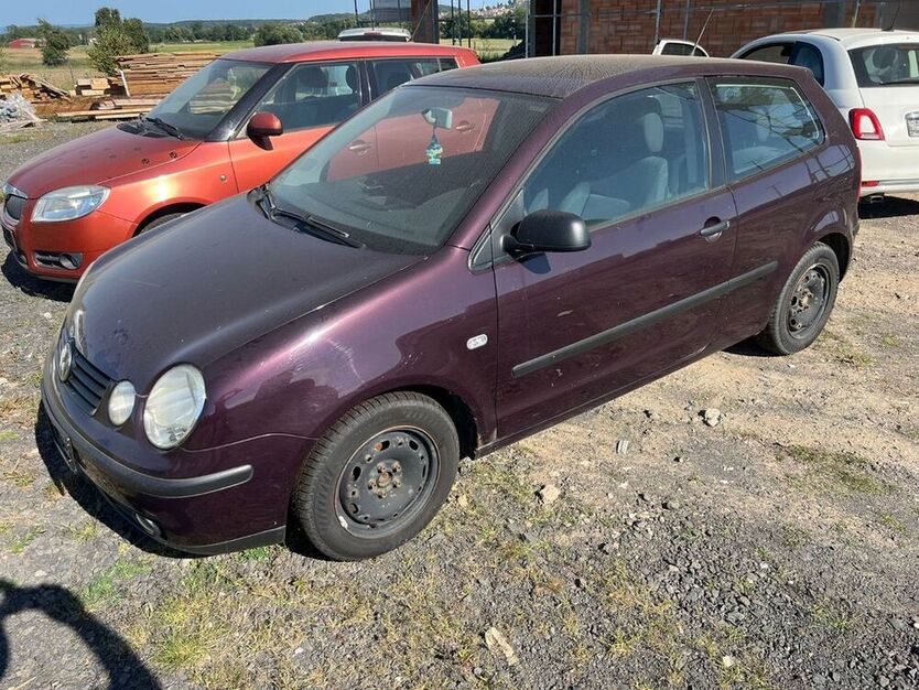 Polo