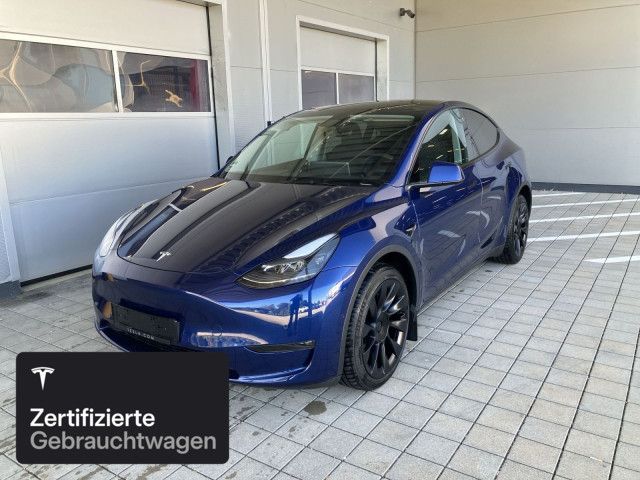 Model Y