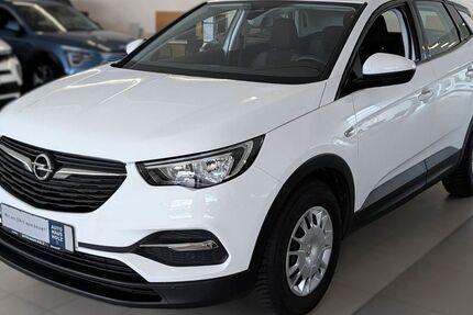 Opel Grandland (X) 52.000 km 13.850 &euro; Landau 76829