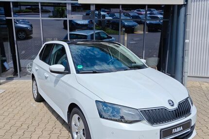Skoda Fabia 75.490 km 11.690 &euro; Wissen 57537